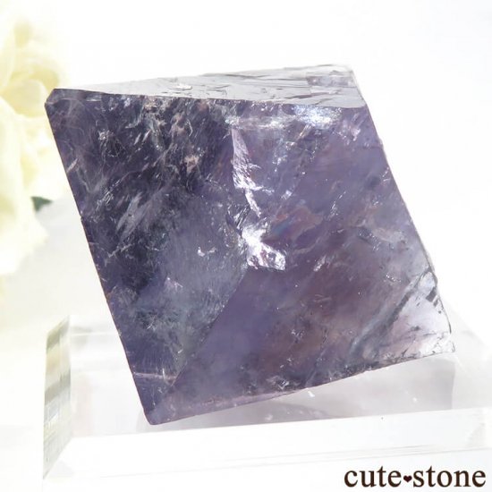 Υ Cave-in-Rock ȬΡʤؤ뾽˥ե饤ȡʷС76g μ̿2 cute stone