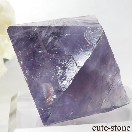 Υ Cave-in-Rock ȬΡʤؤ뾽˥ե饤ȡʷС76g μ̿4 cute stone