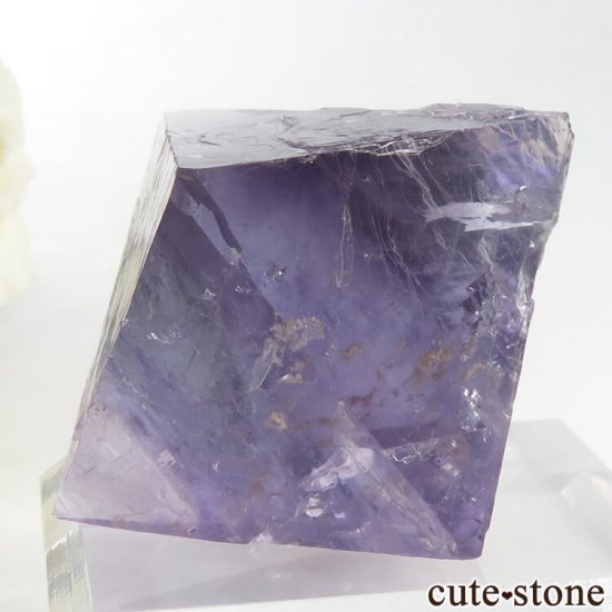 Υ Cave-in-Rock ȬΡʤؤ뾽˥ե饤ȡʷС76g μ̿5 cute stone