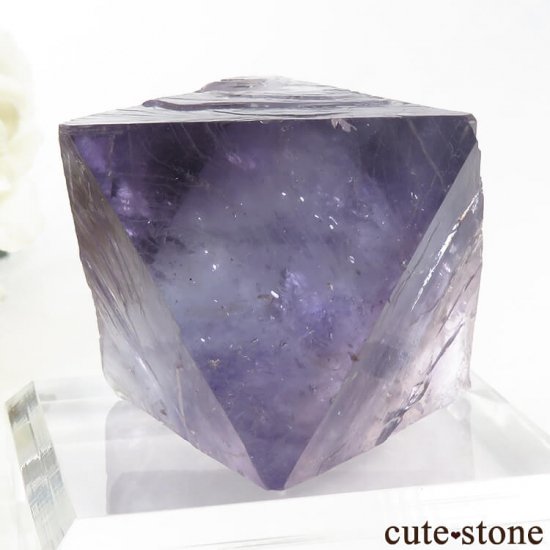 Υ Cave-in-Rock ȬΡʤؤ뾽˥ե饤ȡʷС76g μ̿6 cute stone