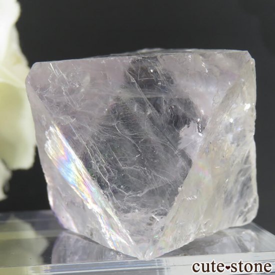 Υ Cave-in-Rock ȬΡʤؤ뾽˥ե饤ȡʷС52g μ̿1 cute stone