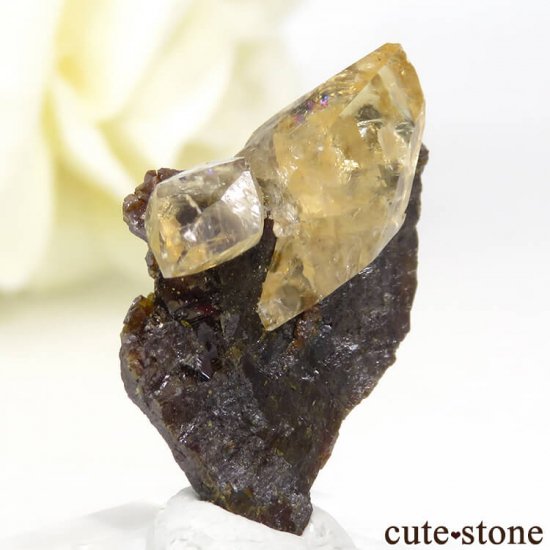 ०åɹۻ ƥӡ५륵ȥ󥹥ե饤 3.8gμ̿0 cute stone