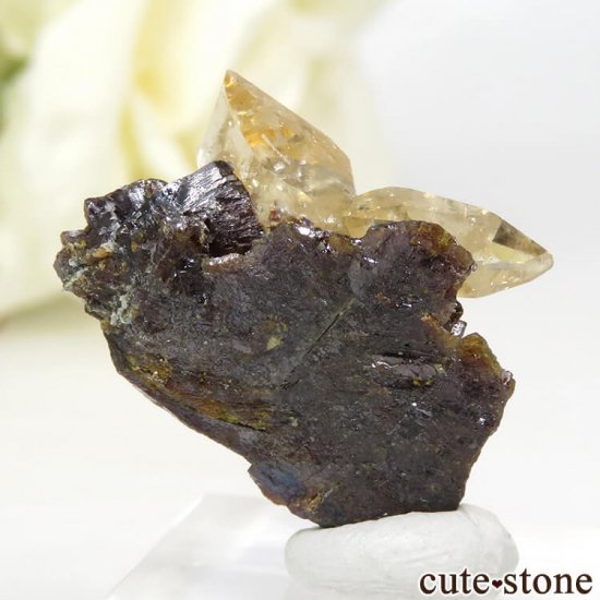 ०åɹۻ ƥӡ५륵ȥ󥹥ե饤 3.8gμ̿1 cute stone