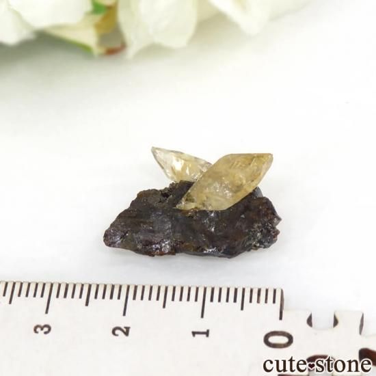 ०åɹۻ ƥӡ५륵ȥ󥹥ե饤 3.8gμ̿4 cute stone