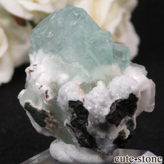  Nashik ꡼󥢥ݥե饤ȡҥ塼Ȥθ 28gμ̿2 cute stone