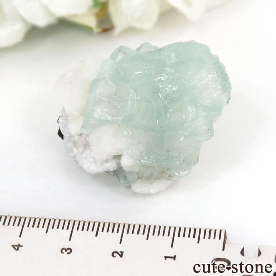  Nashik ꡼󥢥ݥե饤ȡҥ塼Ȥθ 28gμ̿5 cute stone