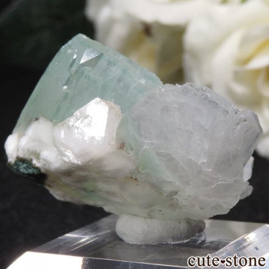  Nashik ꡼󥢥ݥե饤ȡƥХȡҥ塼Ȥθ 22gμ̿2 cute stone