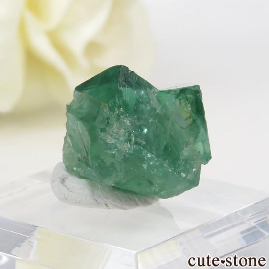 󥰥 ꡼ۻ ָե饤Ȥη뾽ʸС4.1gμ̿0 cute stone