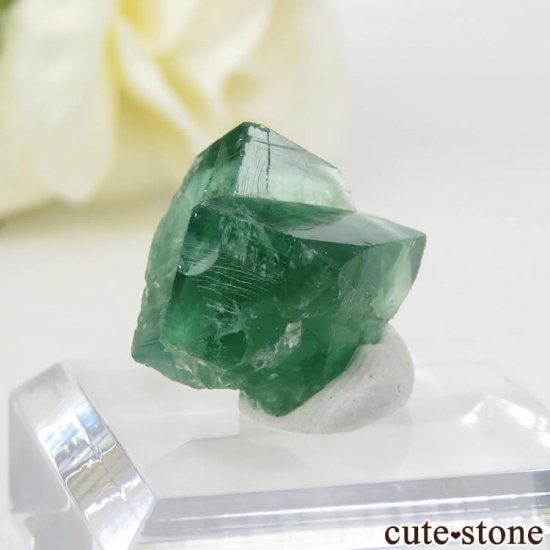 󥰥 ꡼ۻ ָե饤Ȥη뾽ʸС4.1gμ̿2 cute stone