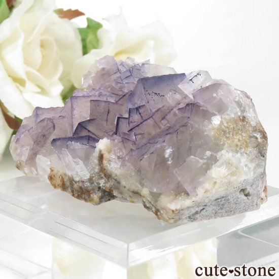 ʻ ѡץե饤ȤΥ饹ʸС65gμ̿0 cute stone