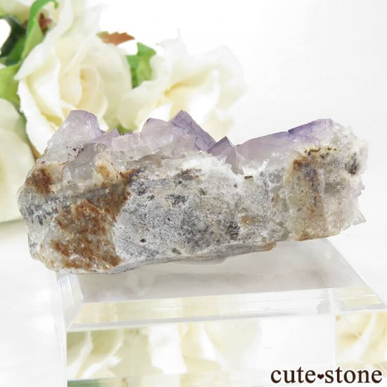 ʻ ѡץե饤ȤΥ饹ʸС65gμ̿1 cute stone