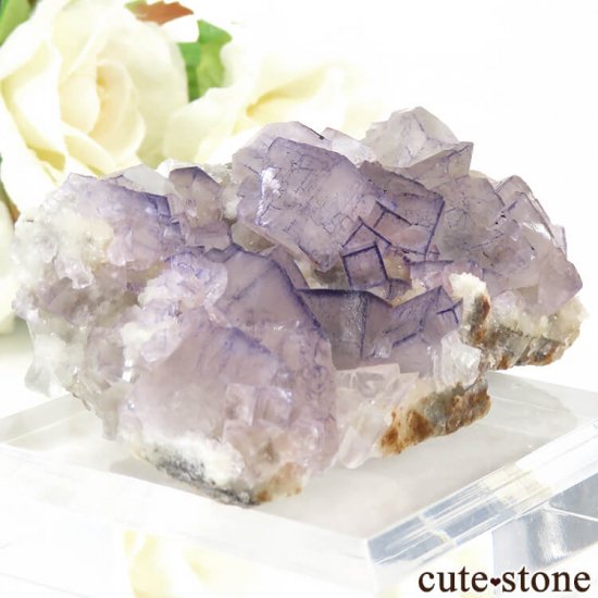 ʻ ѡץե饤ȤΥ饹ʸС65gμ̿2 cute stone