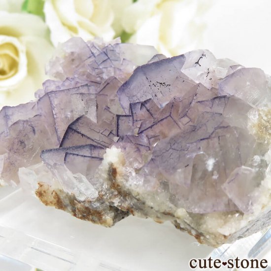 ʻ ѡץե饤ȤΥ饹ʸС65gμ̿3 cute stone