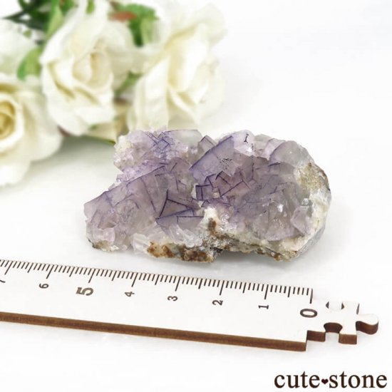 ʻ ѡץե饤ȤΥ饹ʸС65gμ̿5 cute stone