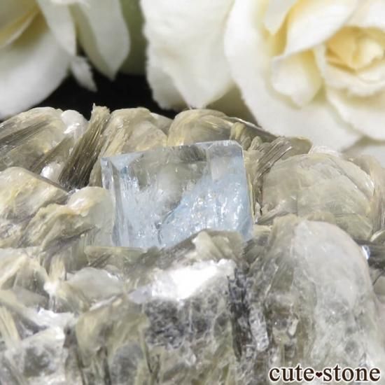 パキスタン産 アクアマリンの母岩付き結晶(原石) 224g - cute パキスタン産 アクアマリンの母岩付き結晶(原石) 224g - cute
