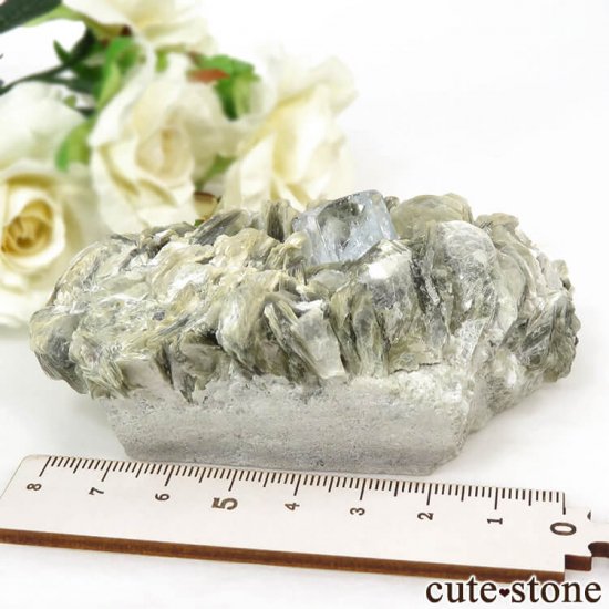ѥ ޥդ뾽ʸС 224gμ̿8 cute stone