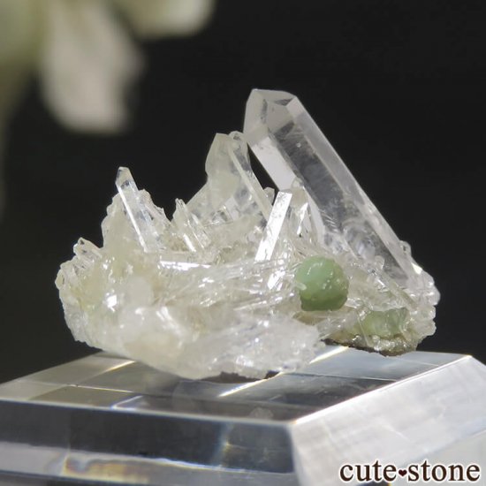ꥫ ȡĤθ 1.5gμ̿1 cute stone