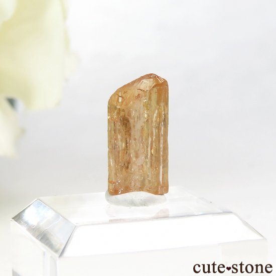 ڥꥢȥѡñη뾽ʸС 3.2ctμ̿1 cute stone