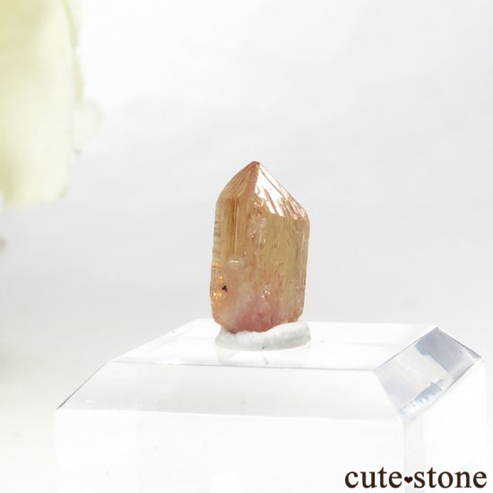 ڥꥢȥѡñη뾽ʸС 3ctμ̿0 cute stone