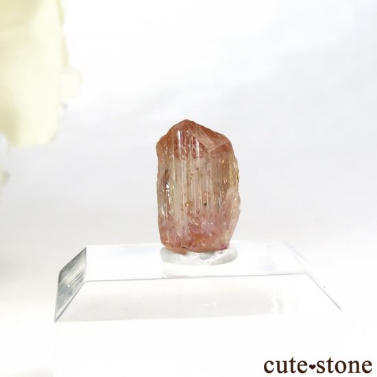 ڥꥢȥѡñη뾽ʸС 3ctμ̿1 cute stone