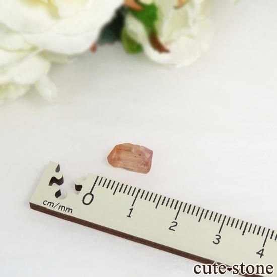 ڥꥢȥѡñη뾽ʸС 3ctμ̿3 cute stone