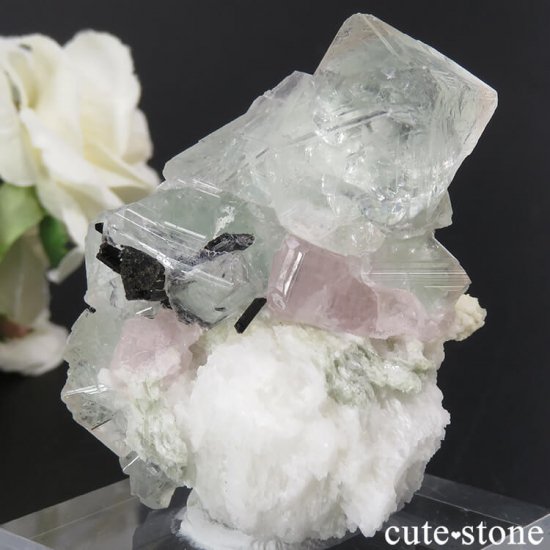 ѥ ɥ ԥ󥯥꡼ե饤ȡԥ󥯥ѥȡ֥åȥޥθ 81gμ̿0 cute stone