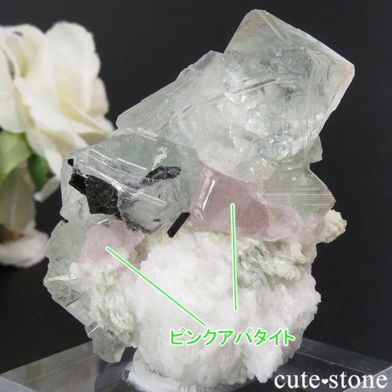 ѥ ɥ ԥ󥯥꡼ե饤ȡԥ󥯥ѥȡ֥åȥޥθ 81gμ̿1 cute stone