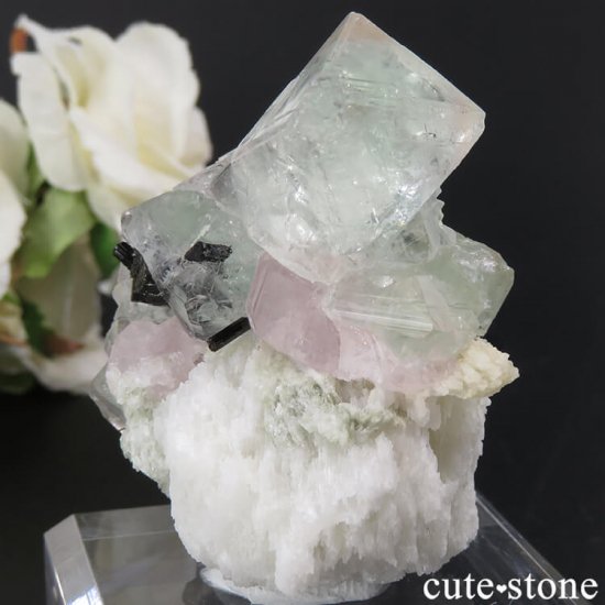 ѥ ɥ ԥ󥯥꡼ե饤ȡԥ󥯥ѥȡ֥åȥޥθ 81gμ̿2 cute stone