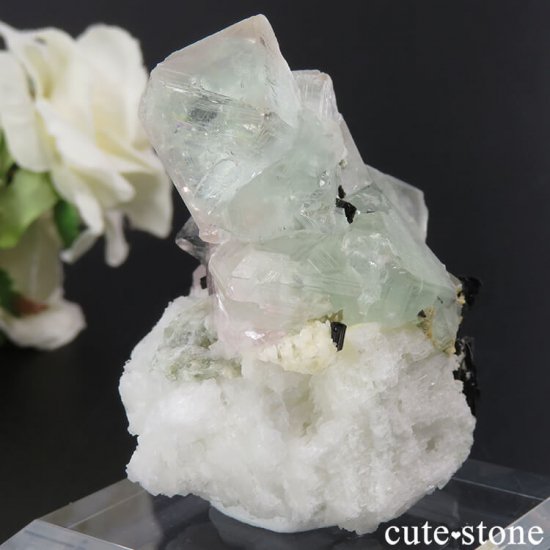 ѥ ɥ ԥ󥯥꡼ե饤ȡԥ󥯥ѥȡ֥åȥޥθ 81gμ̿3 cute stone