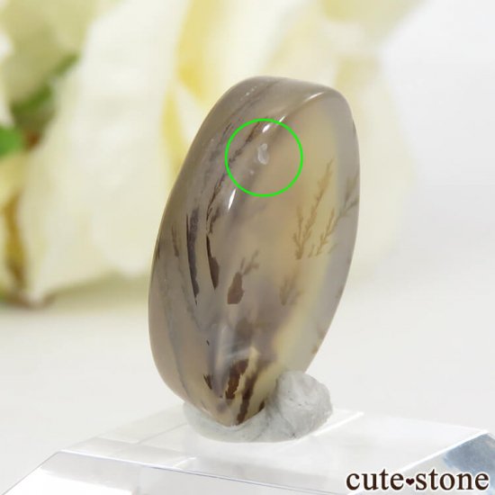 デンドリティックアゲートのルース 11.1ct- cute stone -