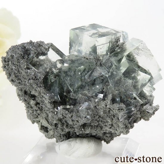  Xianghualing Mine ꡼ե饤Ȥդ뾽() 31gμ̿2 cute stone