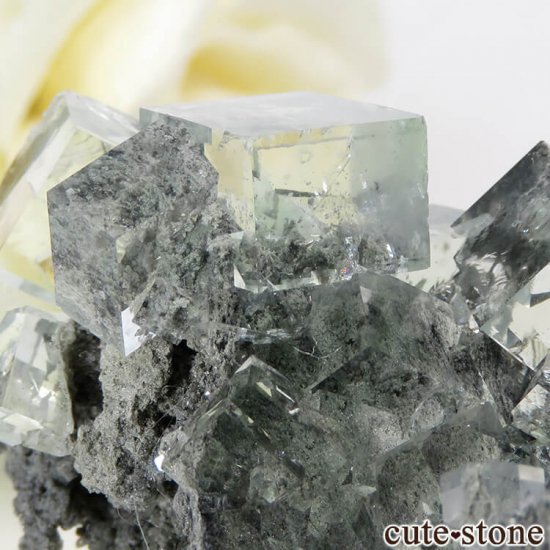  Xianghualing Mine ꡼ե饤Ȥդ뾽() 31gμ̿4 cute stone
