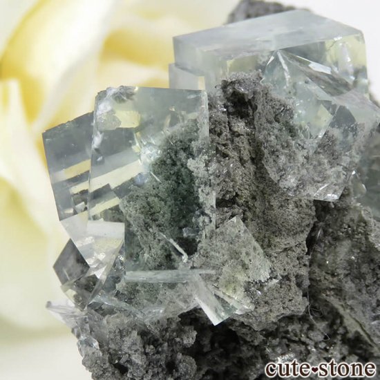  Xianghualing Mine ꡼ե饤Ȥդ뾽() 31gμ̿5 cute stone