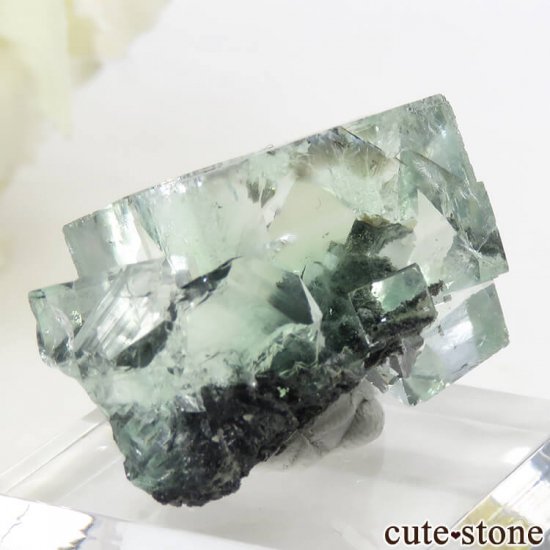  Xianghualing Mine ꡼ե饤Ȥη뾽 13gμ̿2 cute stone