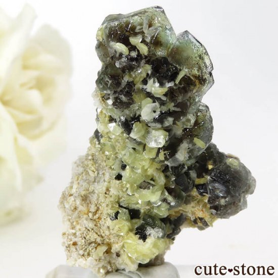 ʥߥӥ 󥴻 ꡼ե饤Ȥθ 13.2gμ̿1 cute stone