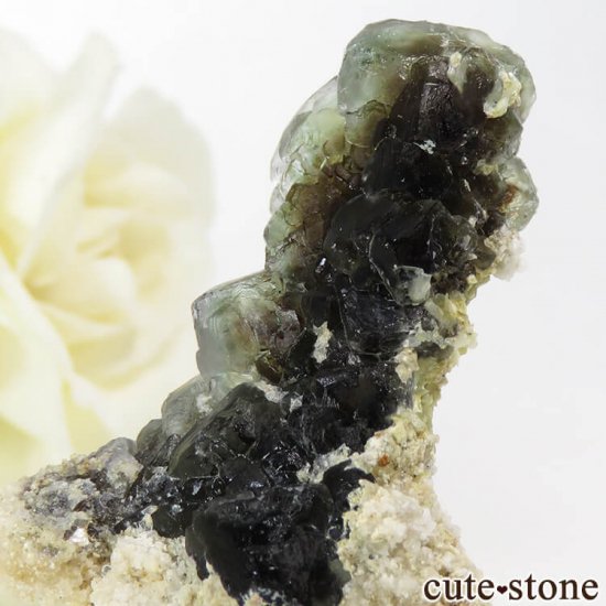 ʥߥӥ 󥴻 ꡼ե饤Ȥθ 13.2gμ̿2 cute stone