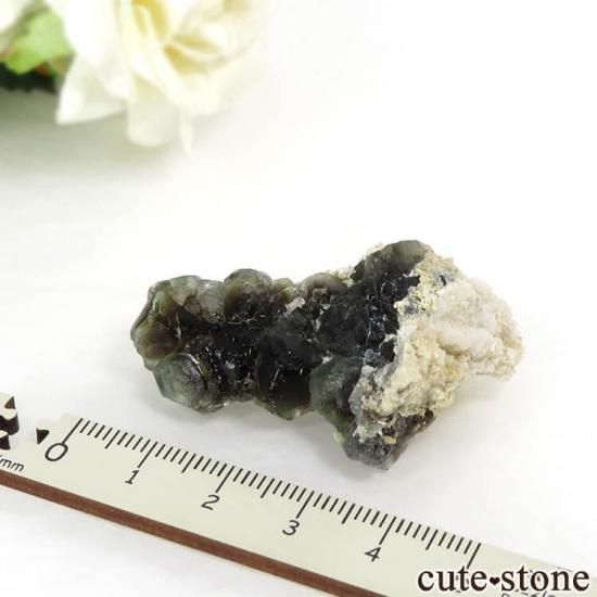 ʥߥӥ 󥴻 ꡼ե饤Ȥθ 13.2gμ̿3 cute stone