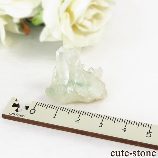 ꡼եȥ९ġʥȥġˤθ 11gμ̿5 cute stone