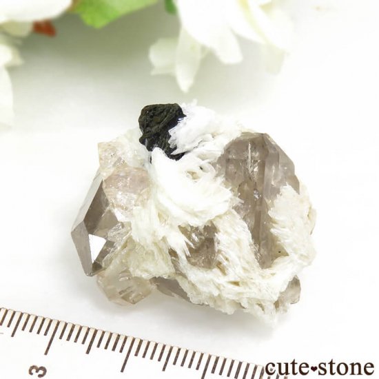 ѥ ɥ ȥѡ⡼ġ֥åȥޥθ 22gμ̿4 cute stone