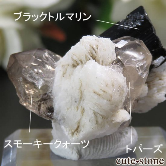 ѥ ɥ ȥѡ⡼ġ֥åȥޥθ 9gμ̿0 cute stone
