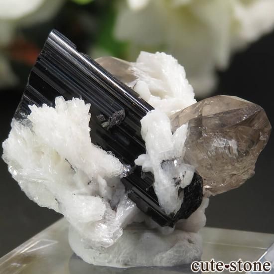 ѥ ɥ ȥѡ⡼ġ֥åȥޥθ 9gμ̿3 cute stone