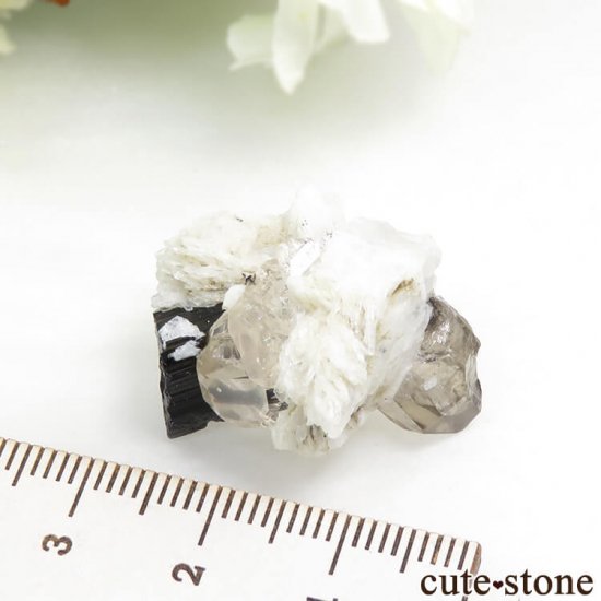 ѥ ɥ ȥѡ⡼ġ֥åȥޥθ 9gμ̿4 cute stone