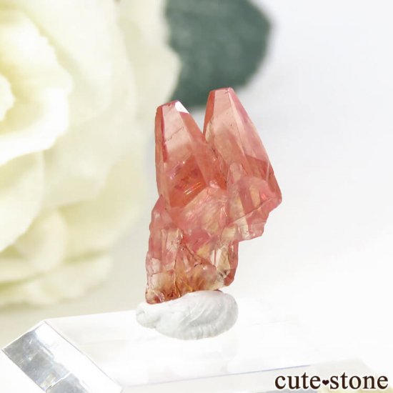 եꥫ Hotazel Mine ɥȤη뾽ʸС 0.9gμ̿2 cute stone