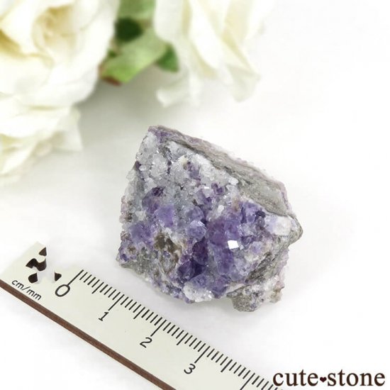 ڥ ٥٥ ѡץե饤ȡ徽ʹʪɸܡ29gμ̿3 cute stone