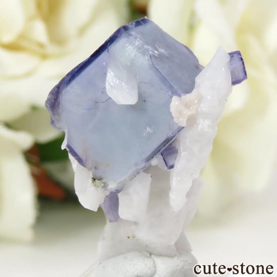 䥪󥷥 ֥롼ե饤 6.6gμ̿1 cute stone