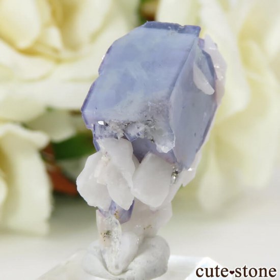 䥪󥷥 ֥롼ե饤 6.6gμ̿2 cute stone