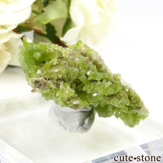 ѥեȤθ 21gμ̿0 cute stone
