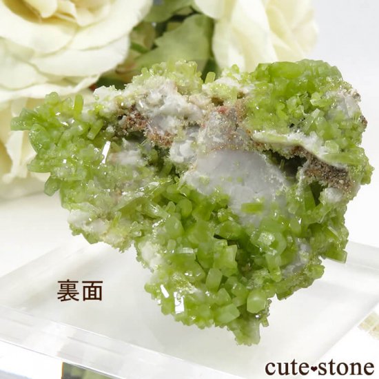 ѥեȤθ 21gμ̿2 cute stone