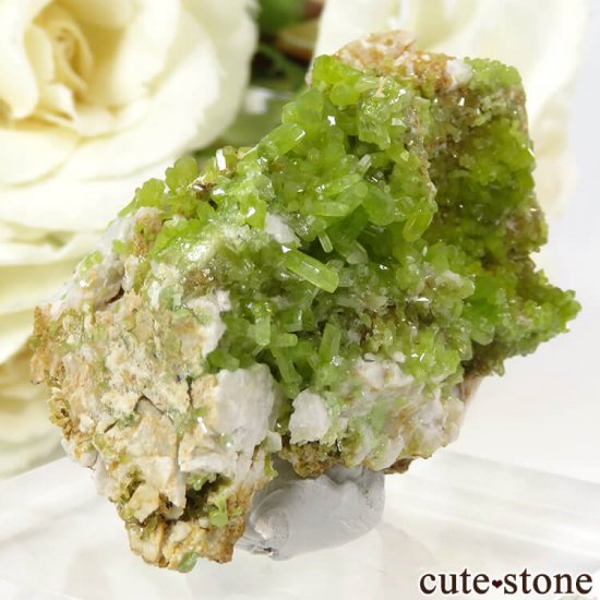 ѥեȤθ 32gμ̿0 cute stone