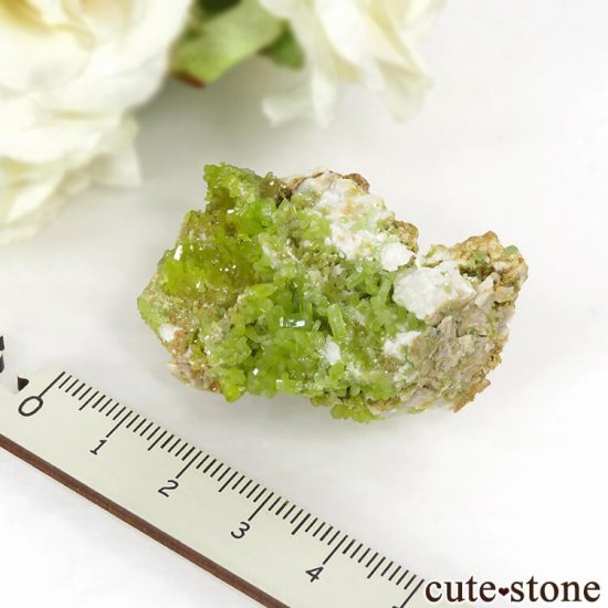 ѥեȤθ 32gμ̿3 cute stone
